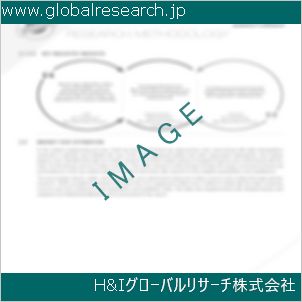 グローバルリサーチ調査資料のイメージ